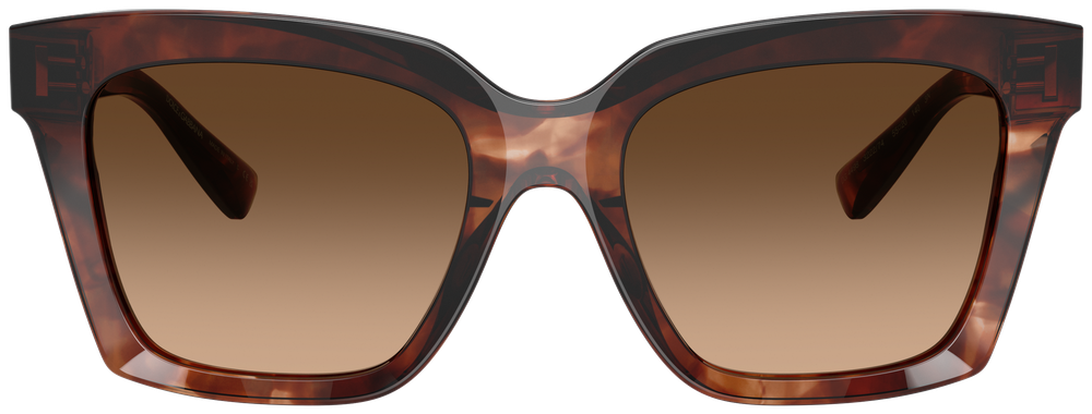 Dolce & Gabbana DG 4498 322274