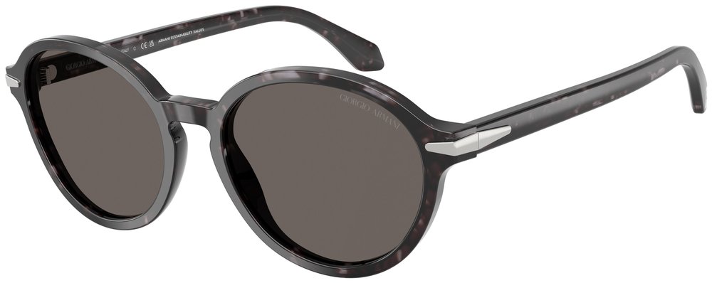 Giorgio Armani AR 8237 6236B1