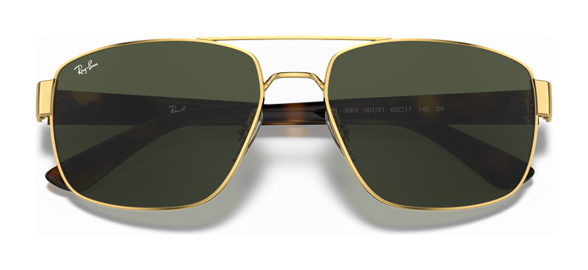 Ray-Ban RB 3663 001/31
