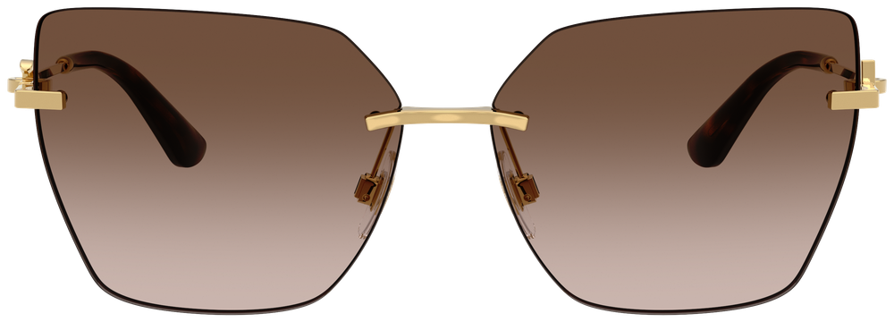 Dolce & Gabbana DG 2321 02/13