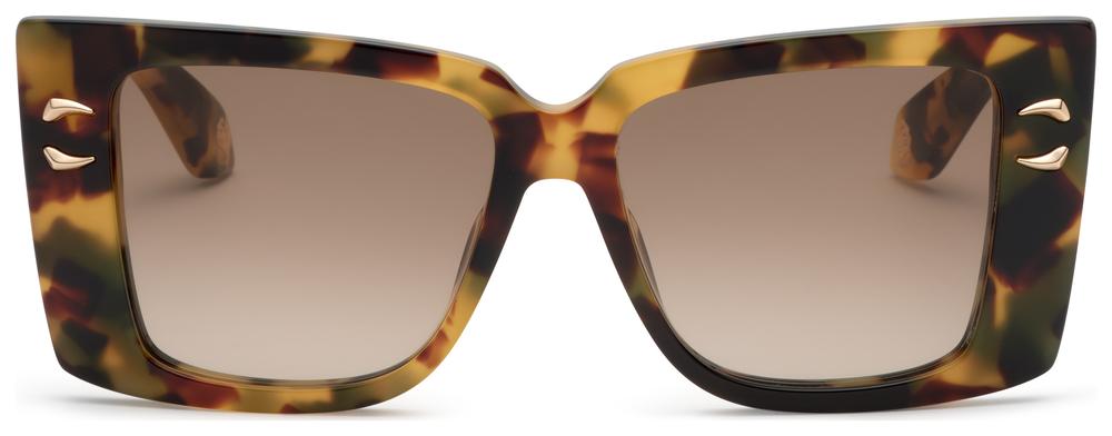 Roberto Cavalli SRC056M AGG