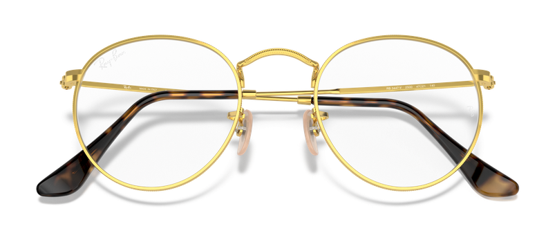 Ray-Ban RX 3447V 2500