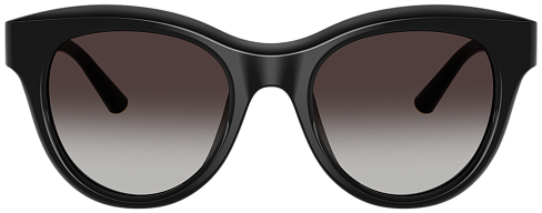 Dolce & Gabbana DG 4518 501/8G