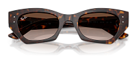 Ray-Ban RB 4430 135913