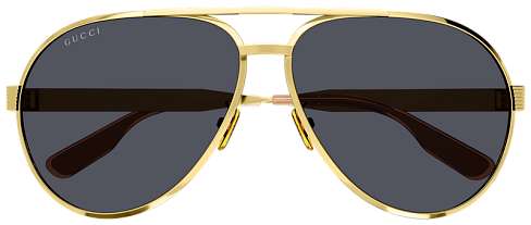 Gucci GG1513S 001