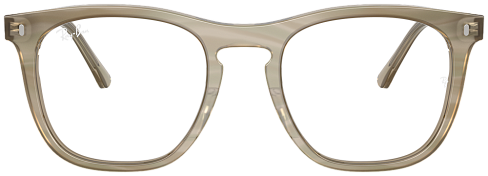 Ray-Ban RX 2210V 8381