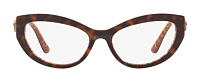 Dolce & Gabbana DG 3306 3204