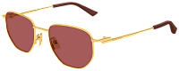 Bottega Veneta BV1301S 006