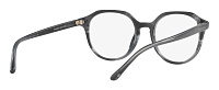 Giorgio Armani AR 7132 5561